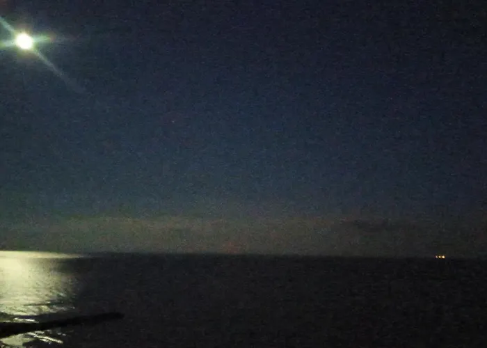 Coral * 圣弗拉斯